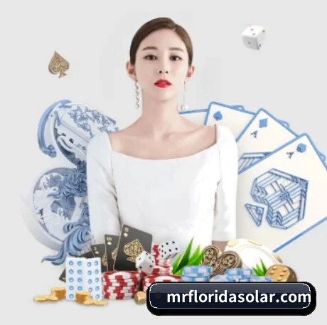 快速发展 - 业务规模迅速扩张,合作伙伴遍布全球,用户数量突破500万大关。